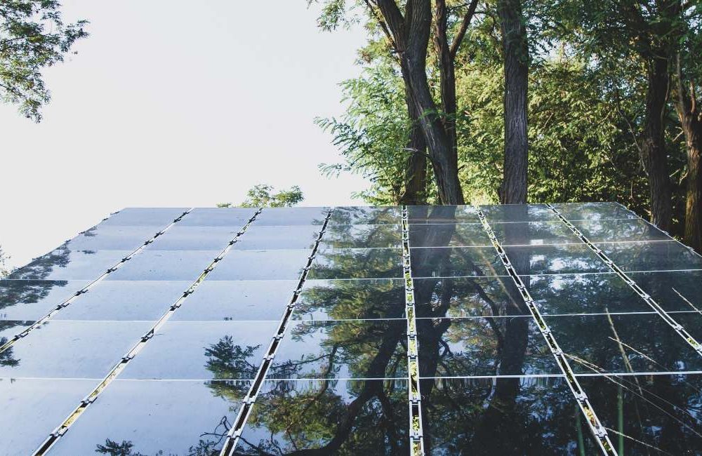 chi siamo - rigoni lab